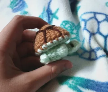 Turtle Popper (NO SEW!)