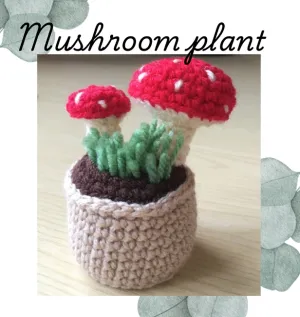 Mushroom plant