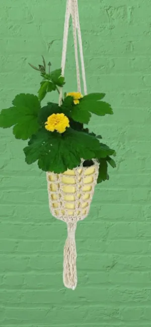 CROCHET PLANT POT HOLDER