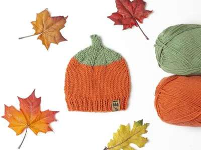 Pumpkin Patch Worsted Weight Hat