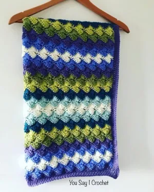 CATHERINE WHEEL CROCHET BLANKET