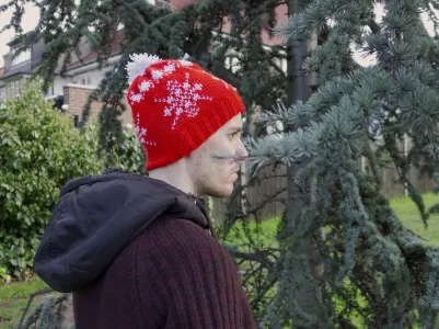 Winter Festivity Hat/Crochet Version