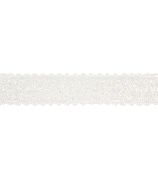 Wrights Embroidered Mesh Trim 2'' Antique White