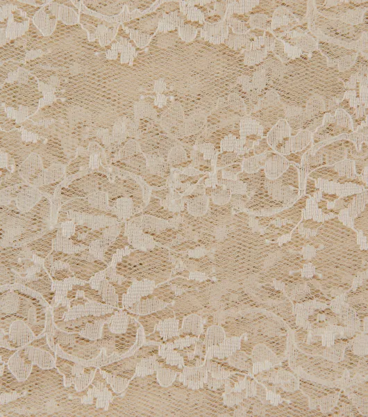 Ivory Chantilly french lace fabric - Lace To Love