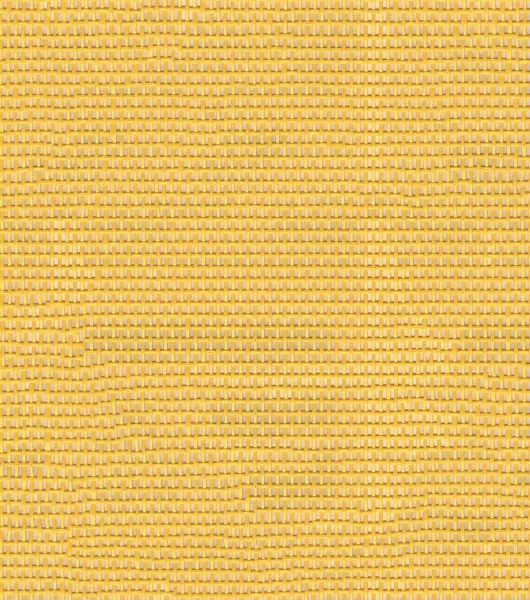 Buy Phifertex Lemon Yellow 406 54-inch Standard Mesh Fabric by the