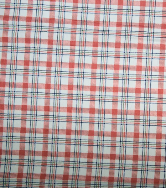 Red & Green Tartan Plaid Super Snuggle Flannel Fabric