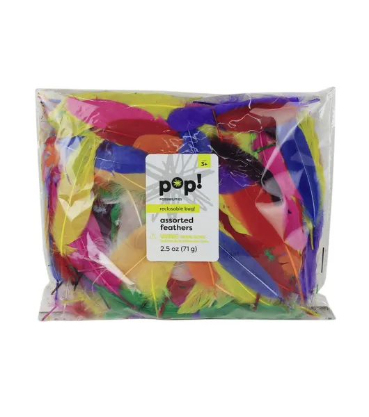 POP! Turkey Plumage Carnival Mix Feathers 0.5oz