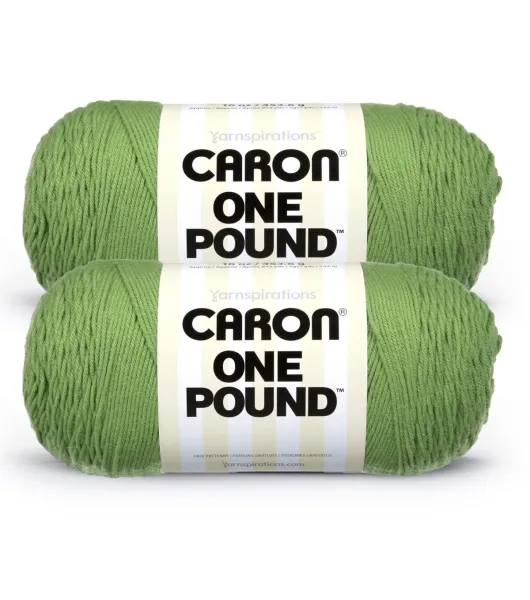 Caron One Pound Yarn 2 Pack by Caron