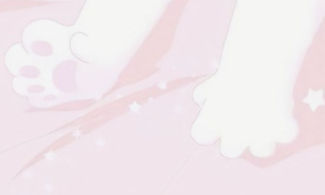 shop banner image