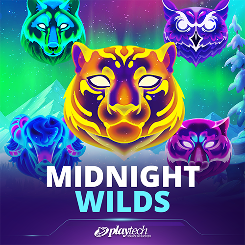 Midnight Wilds