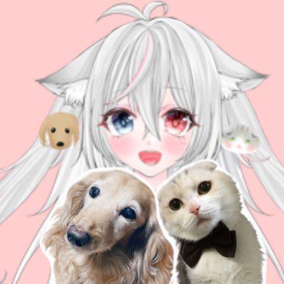 icon-account