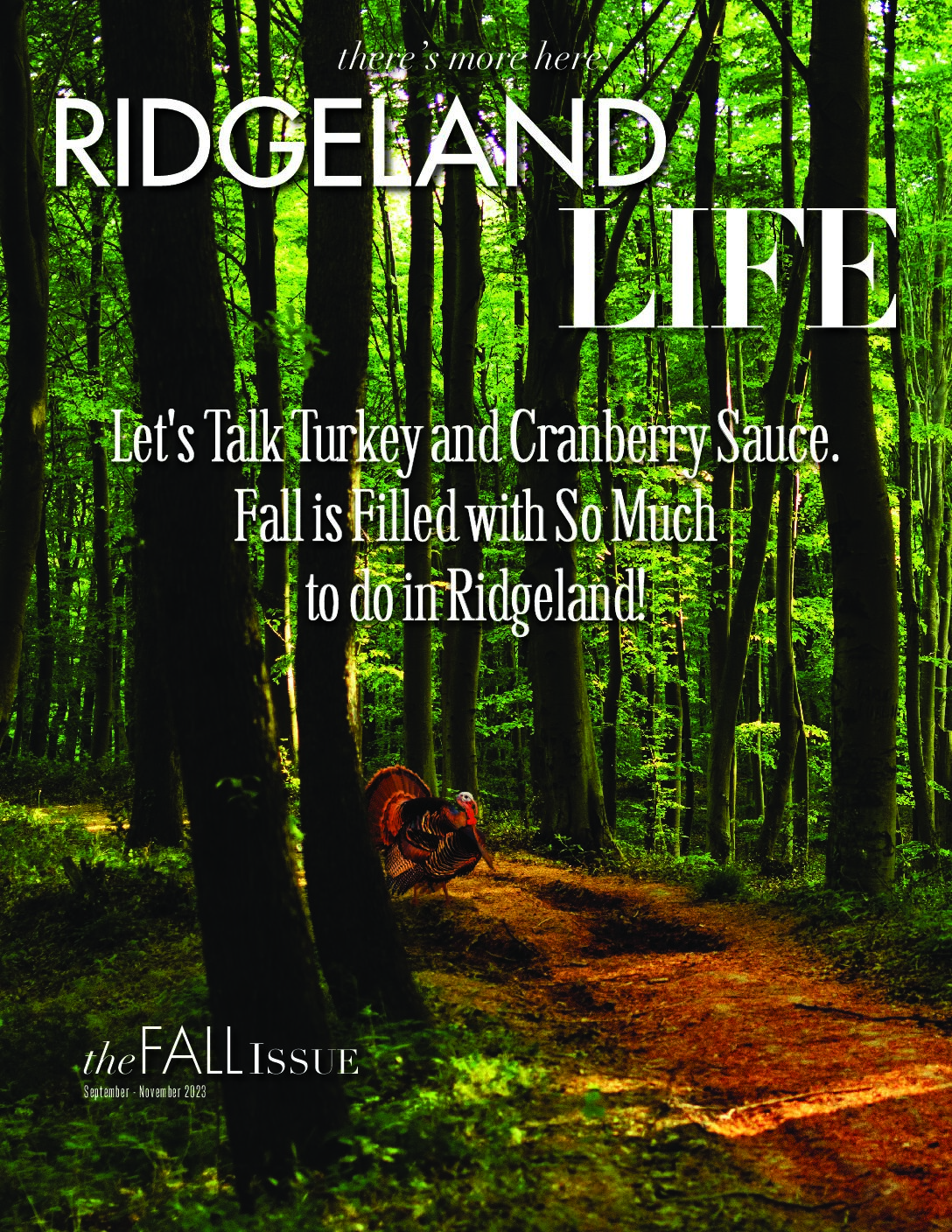 Homepage City of Ridgeland