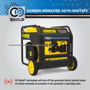 Champion Power Equipment 201067