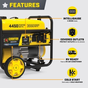 Champion Power Equipment 201267