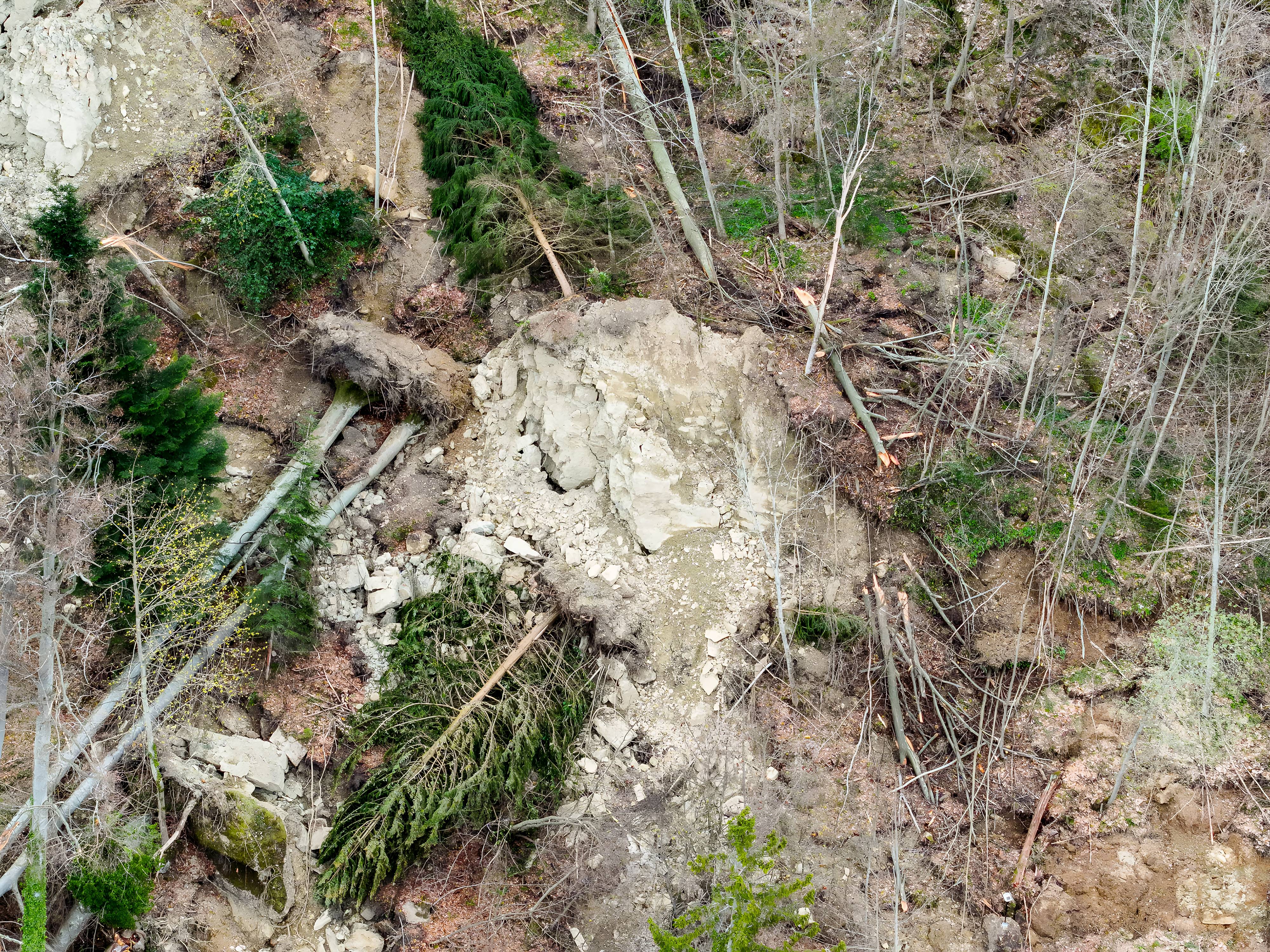 Rutschung am Rigi-Hang: Weggis reagiert auf Naturgefahr