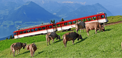 Rigi Bahnen: Rekordjahr für die Königin der Berge