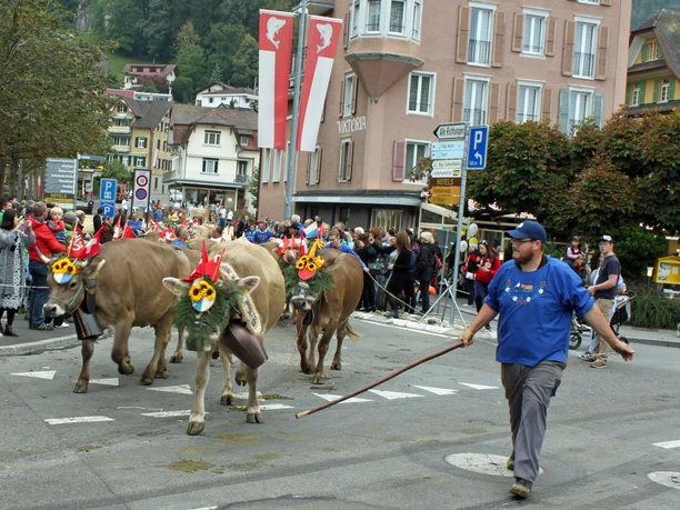 Traditionelle Viehausstellung und Herbstmarkt Weggis
