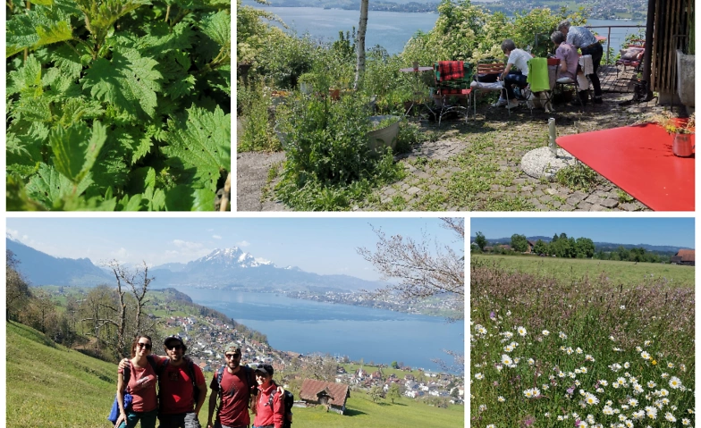 Kräuterwanderung am Fusse der Rigi