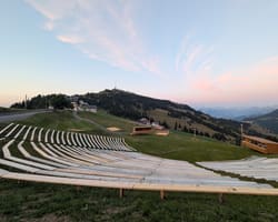 Grosse Besuchermengen erwartet am Rigi Schwing- und Älplerfest 2026 - 19. Juli 2026