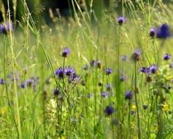 Tag der Natur