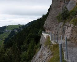 Pro Rigi: Ein Jahr im Dienste der Königin der Berge