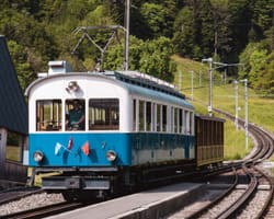 Rigi Historic XXL - 1. August