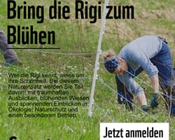 Natur verbindet: WWF lässt die Rigi erblühen - 11. April 2026
