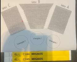 Rigi-Schwinget Tickets zum Auktionspreis