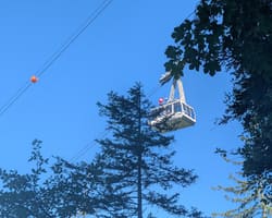 Overhaul of the Weggis cable car - November 16-27, 2026