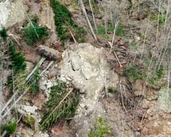 Rutschung am Rigi-Hang: Weggis reagiert auf Naturgefahr