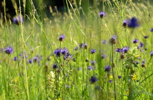 Tag der Natur