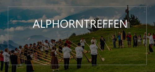 31. Rigi Alphorntreffen