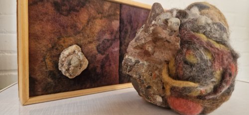 "Mikro- Makrokosmos", Vortrag von Heidi Ochsner