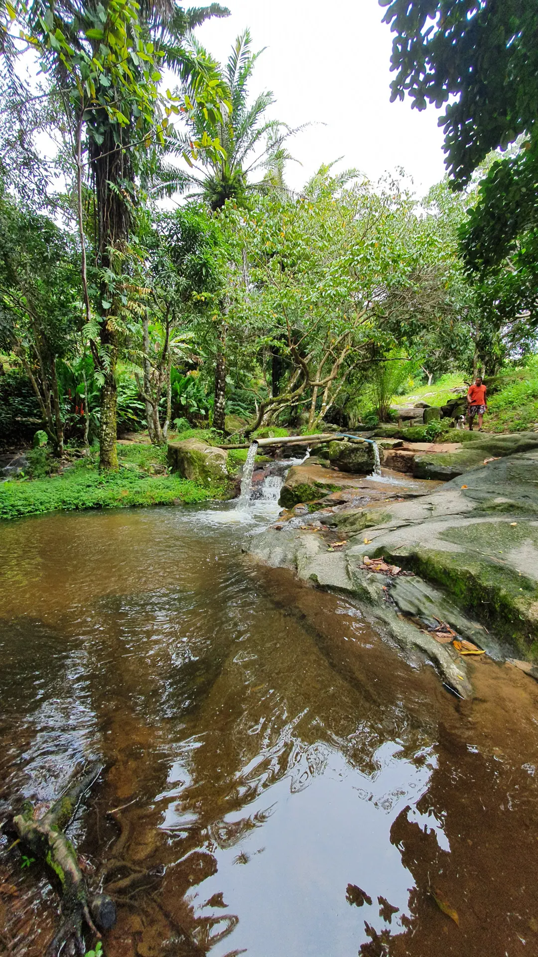 Trilha do Visgueiro