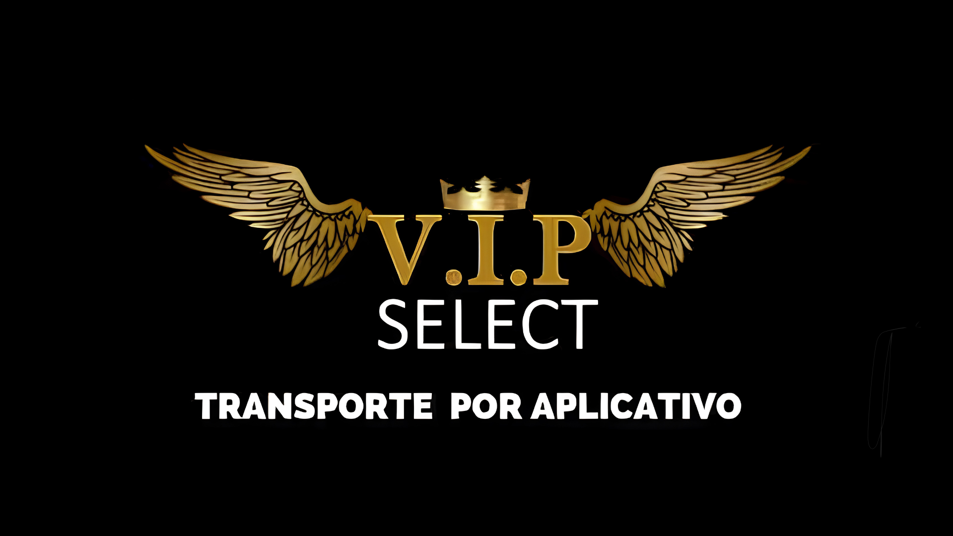 Vip Select Transporte por aplicativo