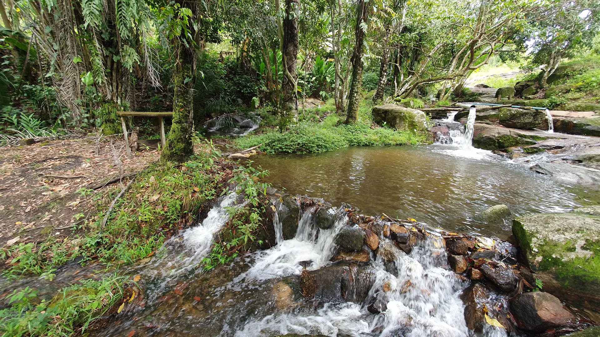 Trilha do Visgueiro