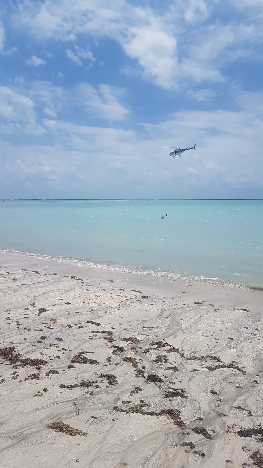 Voos panorâmicos de helicóptero