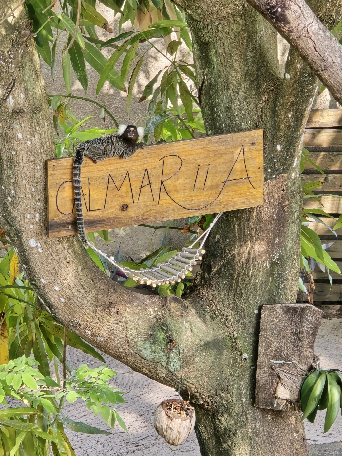 Área externa da Pousada RiiA