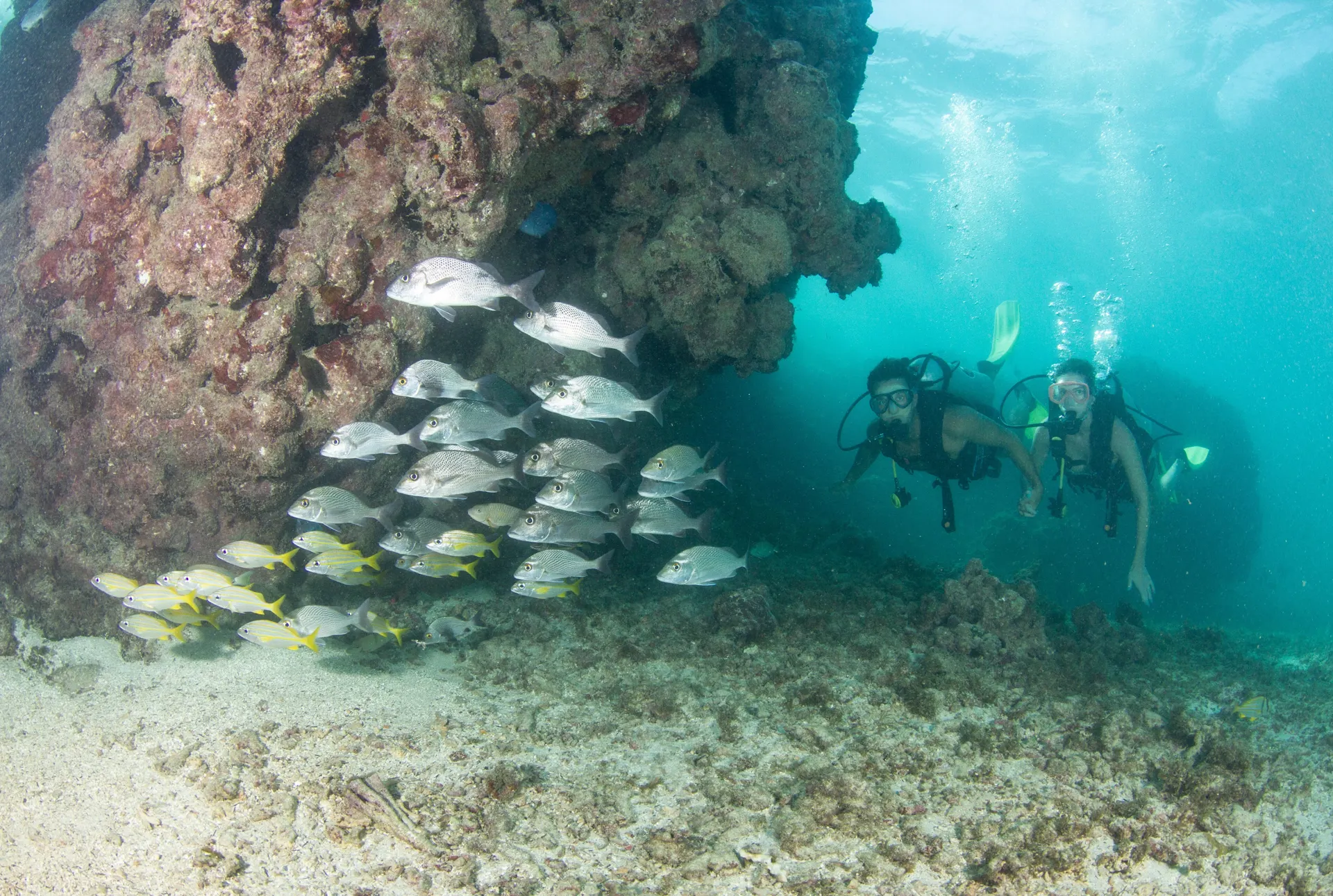 Maragogi Mergulhos