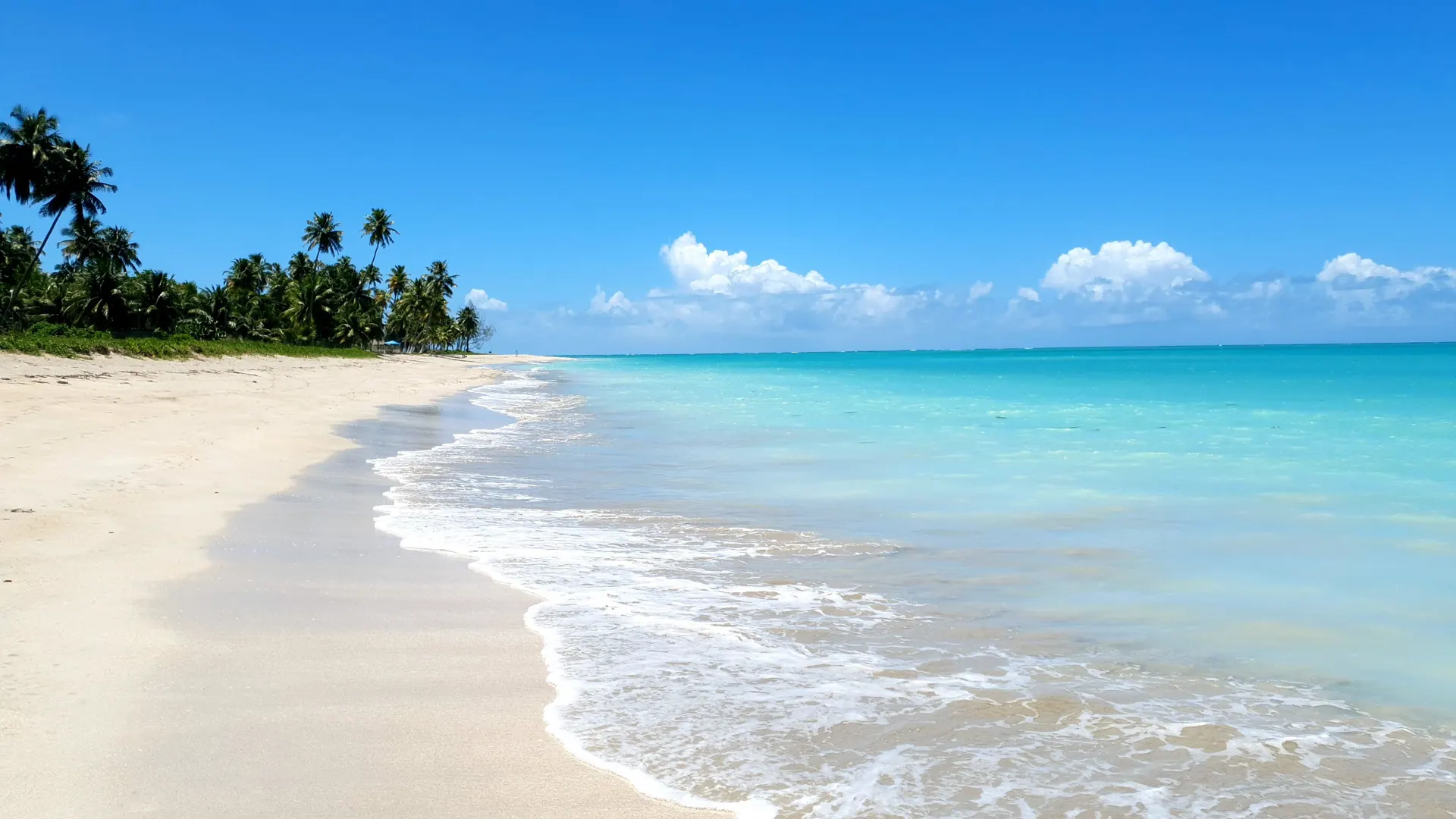 Mar azul em Maragogi