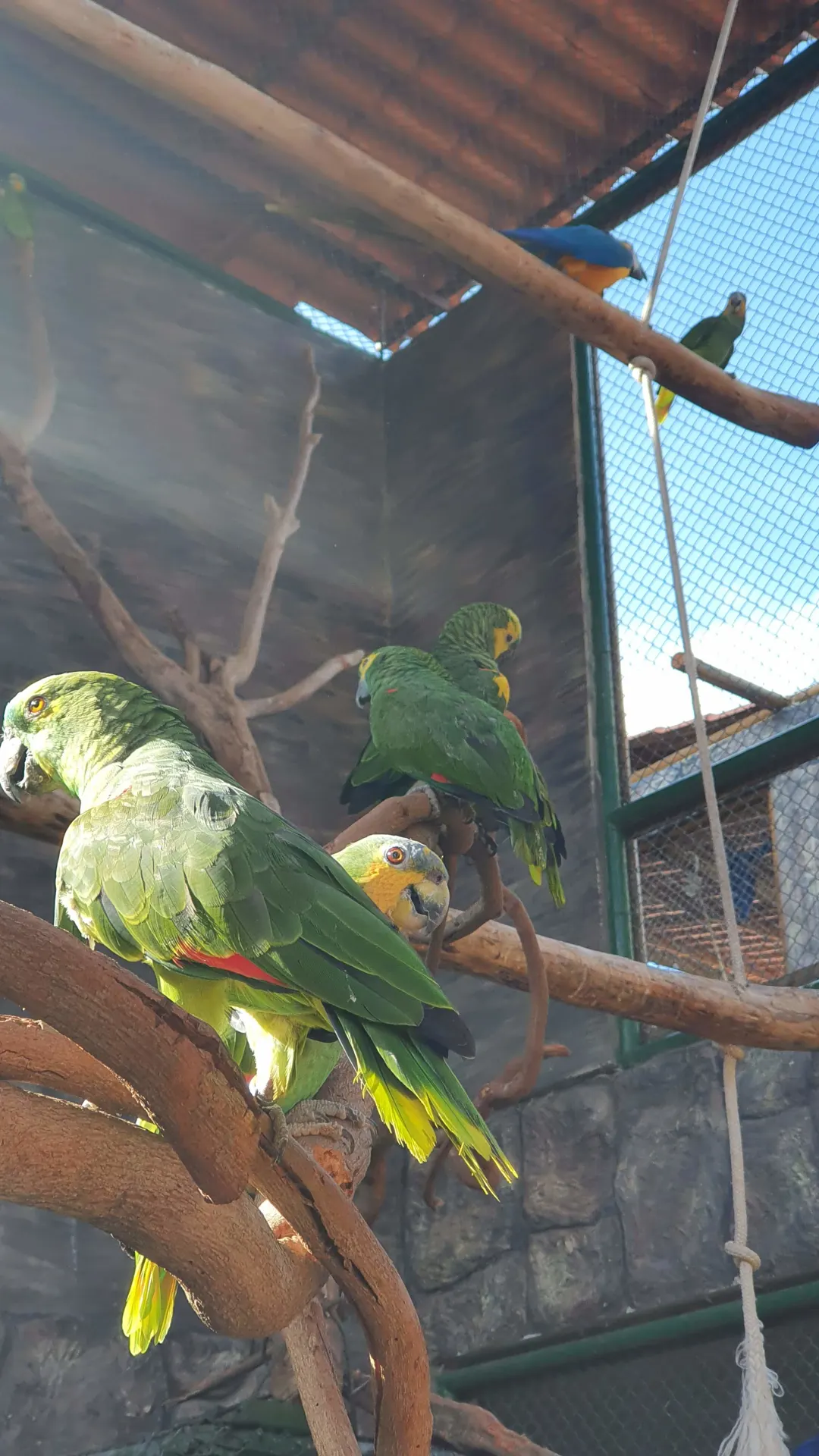 Zoologico EcoPark – Sol e Mar em Barra Grande