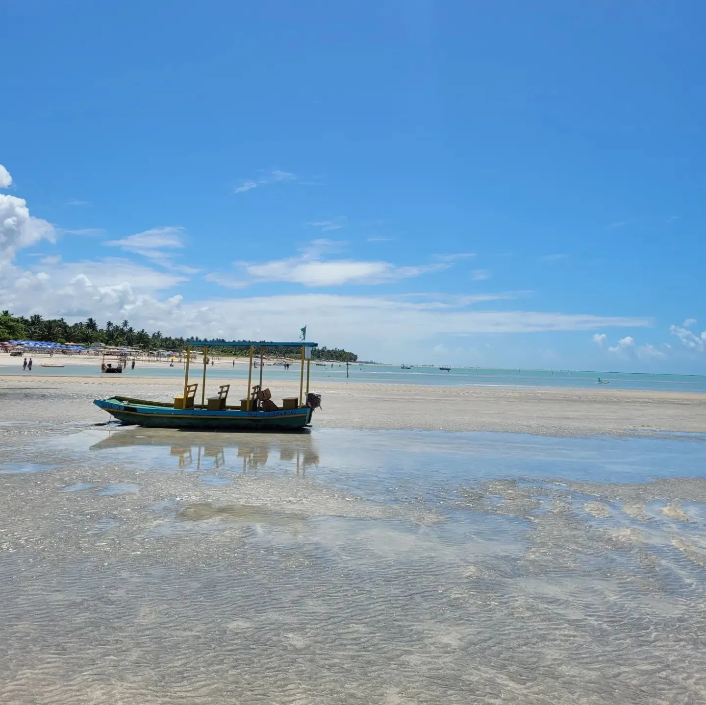 Praia de Antunes: O Caribe Brasileiro em Maragogi