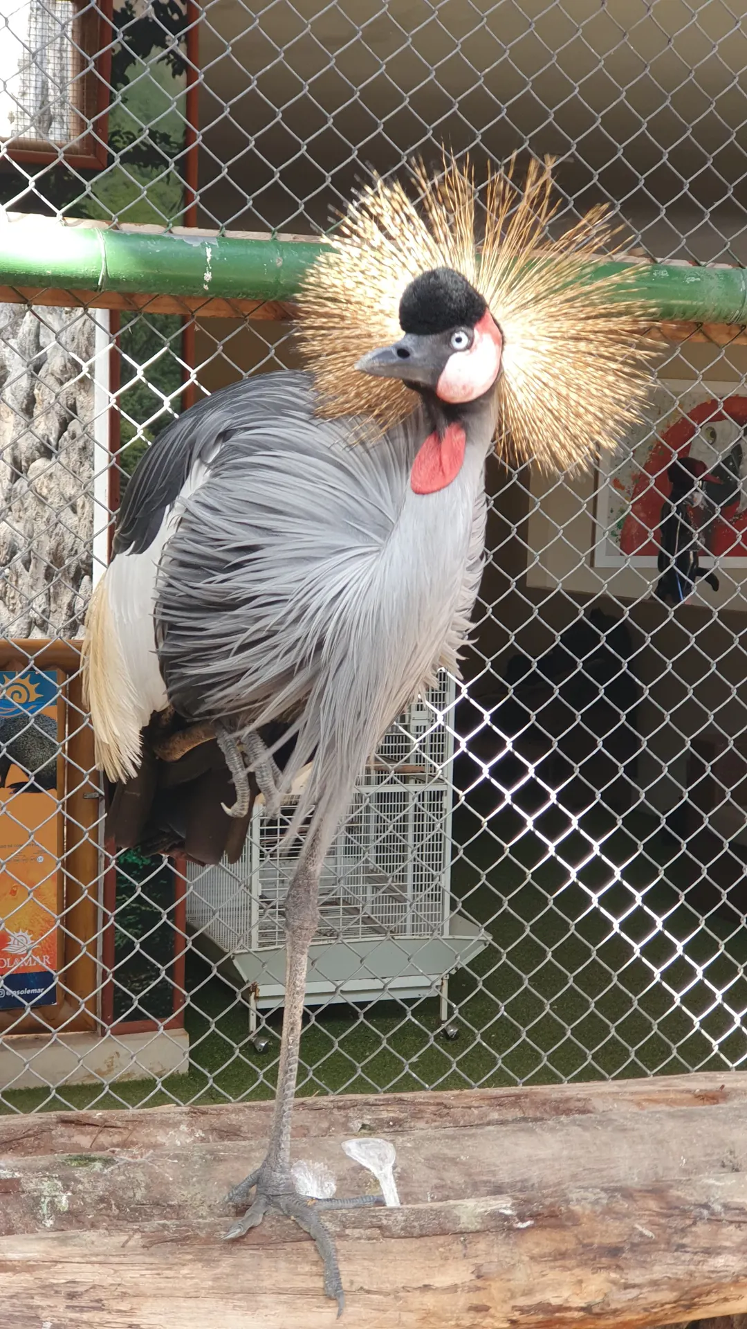 Zoologico EcoPark – Sol e Mar em Barra Grande