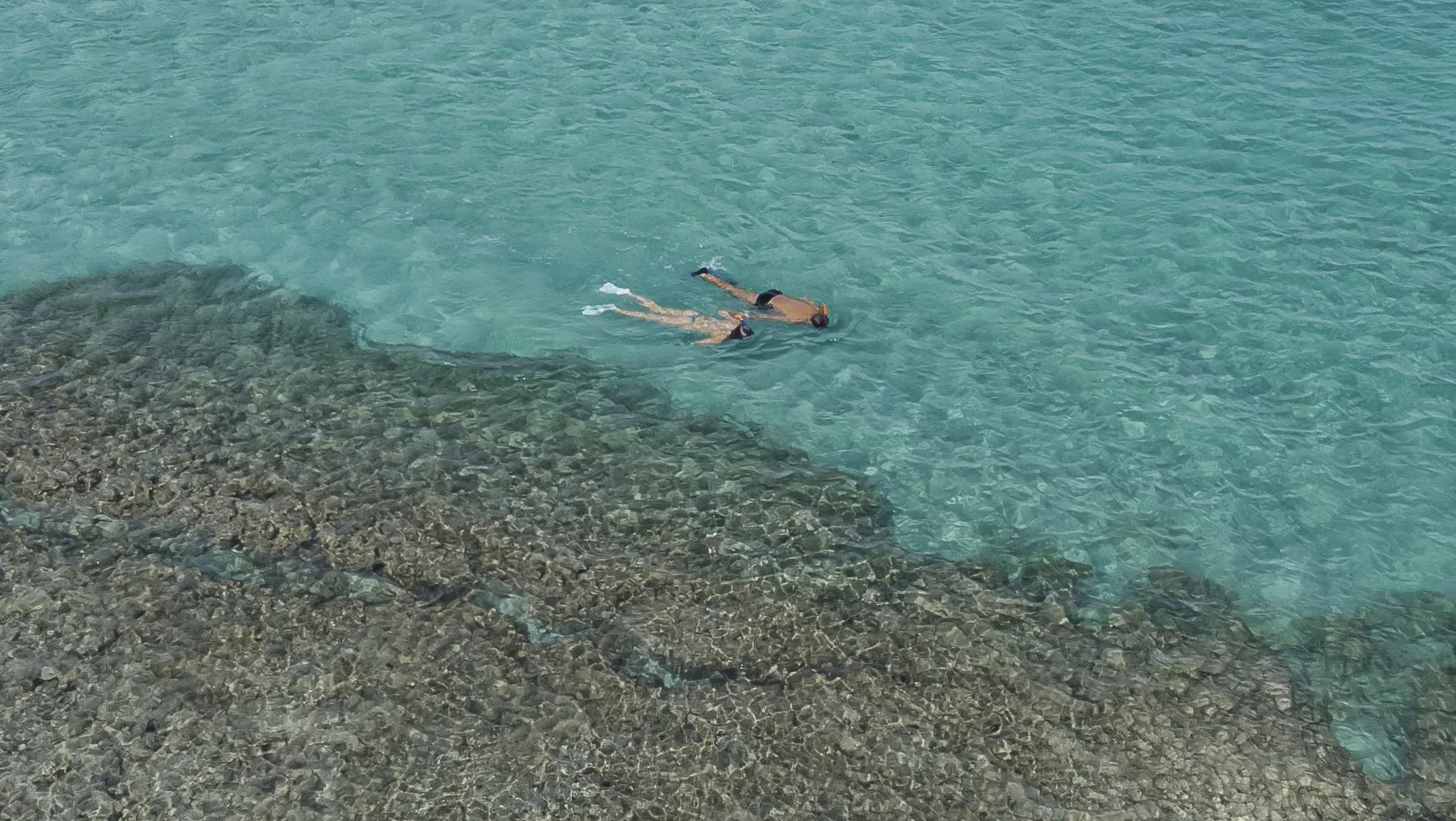 Passeios Exclusivos com a Dronegogi em Maragogi