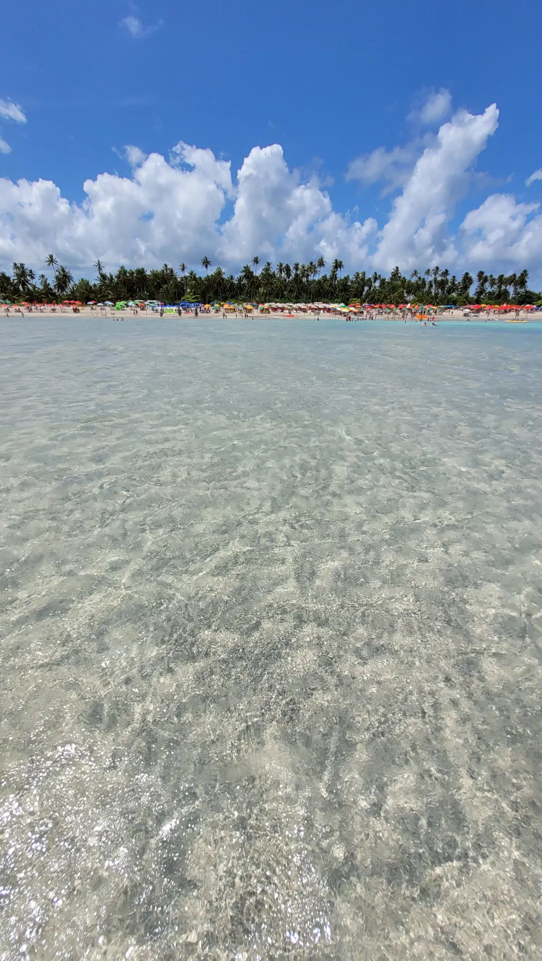 Praia de Antunes: O Caribe Brasileiro em Maragogi