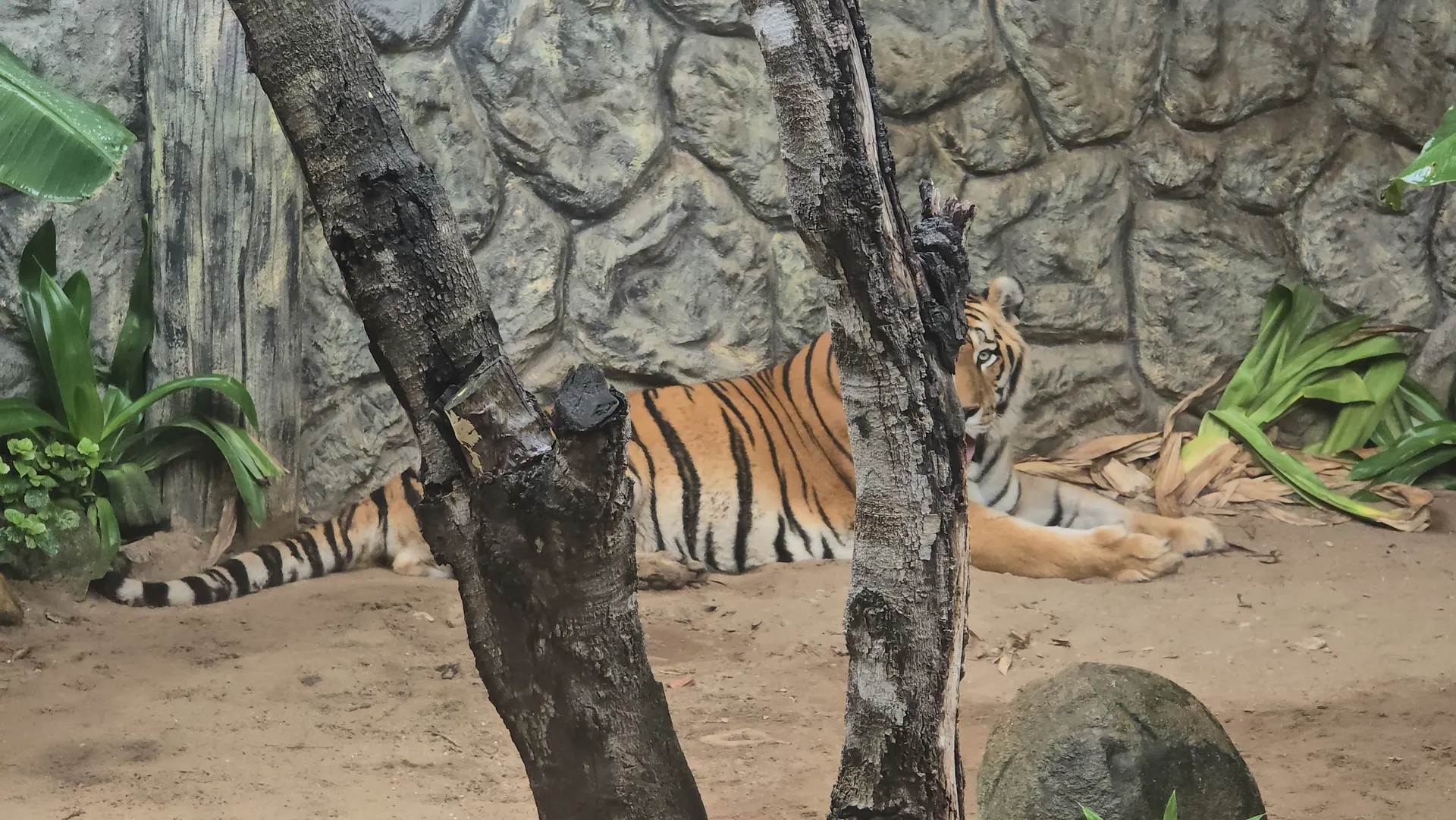 Zoologico EcoPark – Sol e Mar em Barra Grande