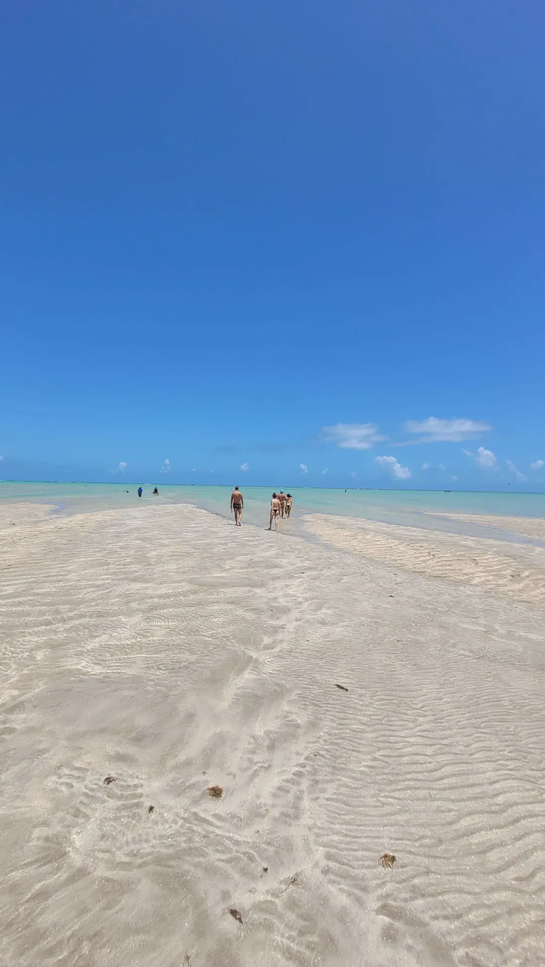 Praia de Antunes: O Caribe Brasileiro em Maragogi