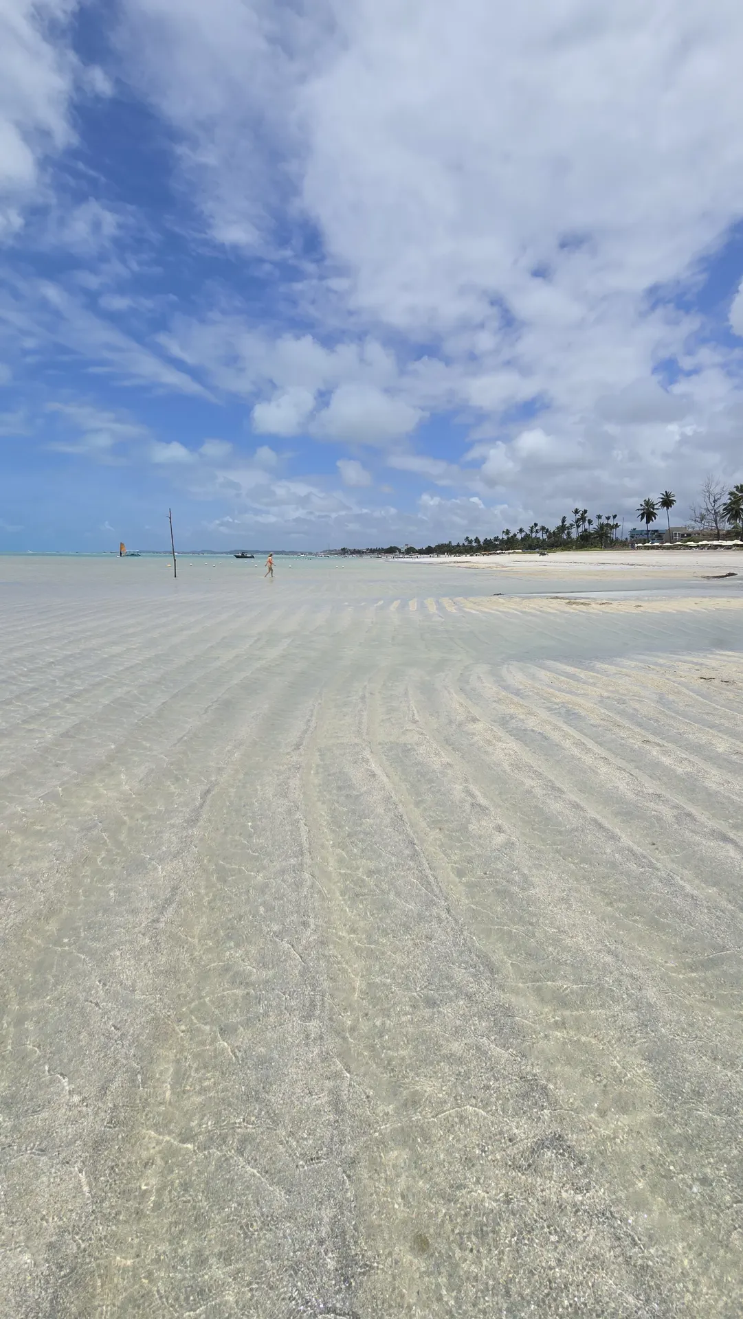 Praia de Antunes: O Caribe Brasileiro em Maragogi