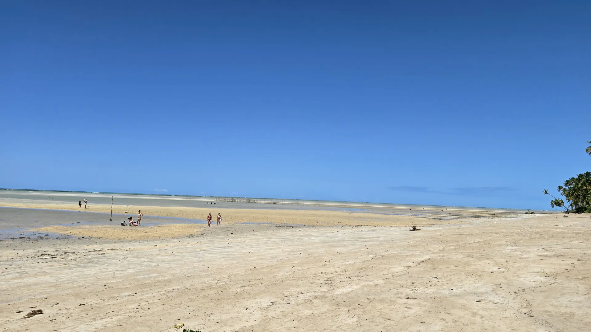Praia de Ponta de Mangue