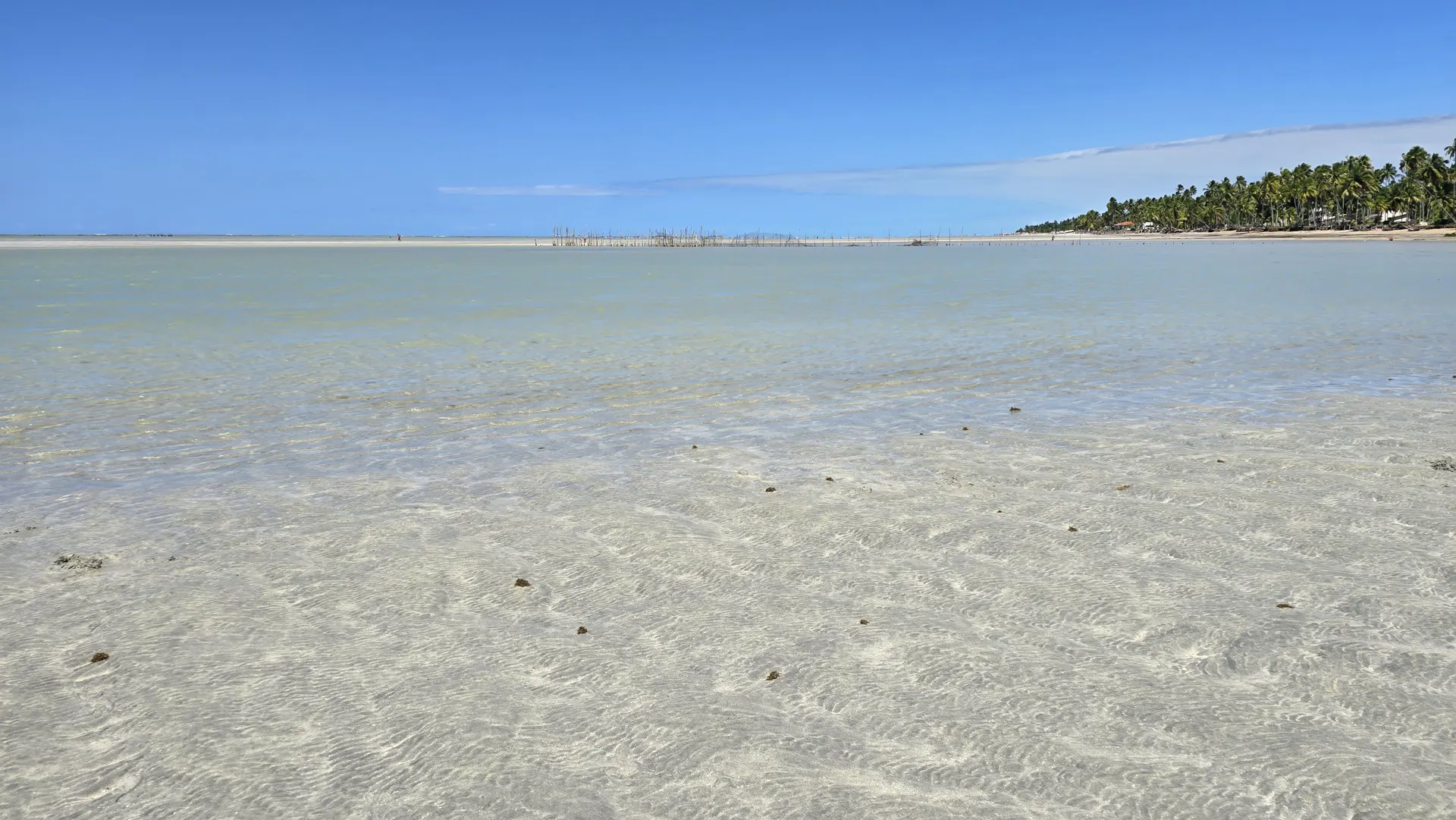 Praia de Ponta de Mangue